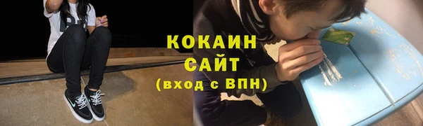хмурый Алзамай